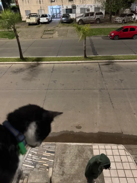 Captura de GuidoFC (1 de 2)